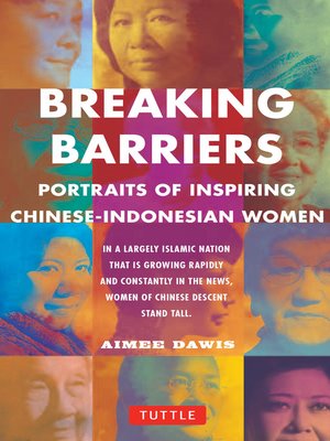 cover image of Breaking Barriers
